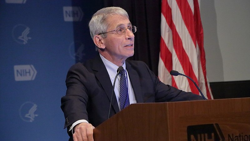 Dr. Fauci