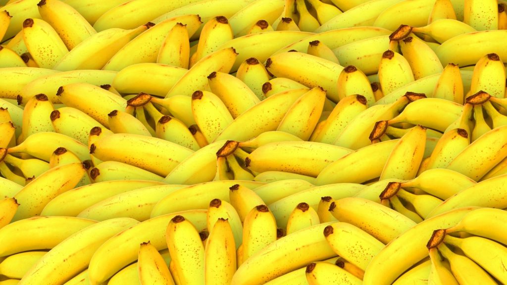 banana lounge