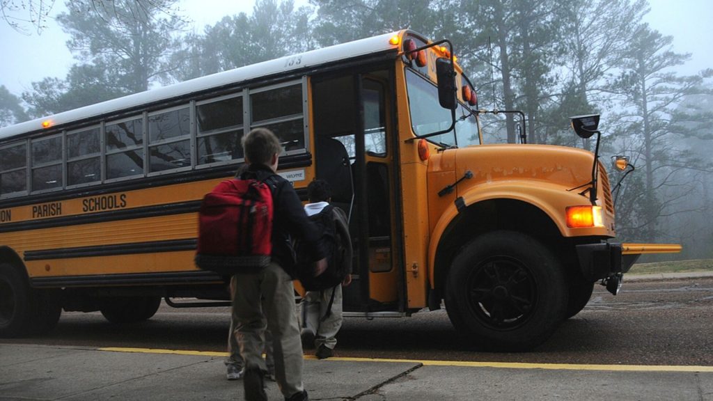 school bus driver