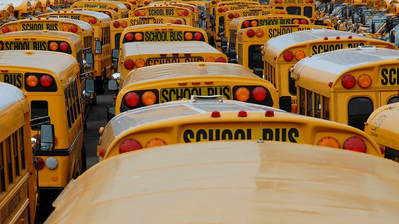 school bus drivers