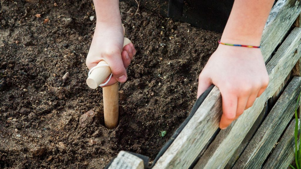 school garden