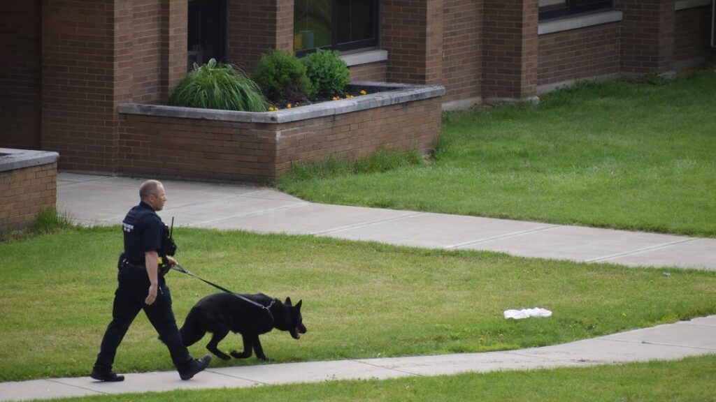 school policing