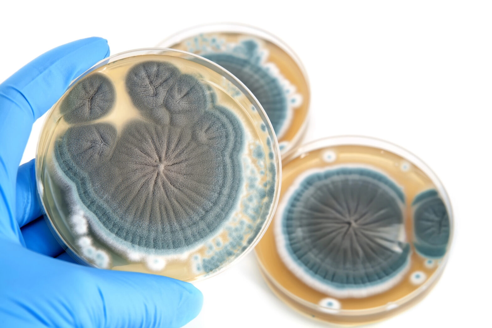 These 18 Weird Scientific Discoveries Changed the Course of History