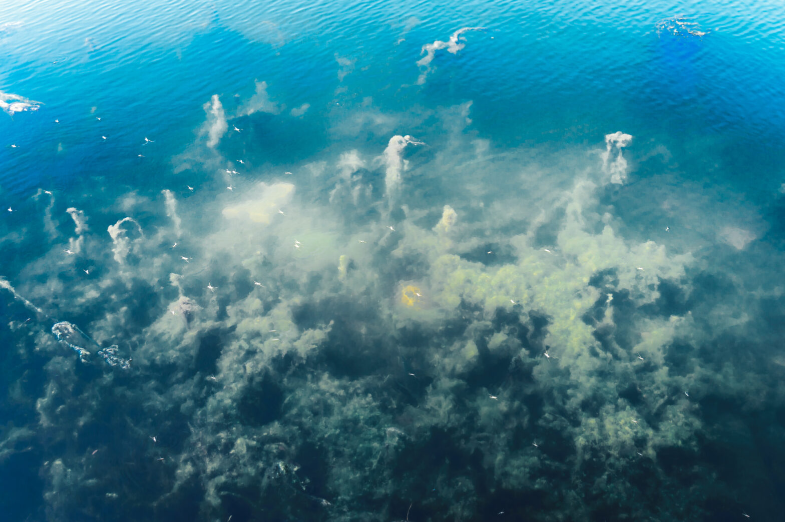20 Jaw-Dropping Facts About the Deep Ocean