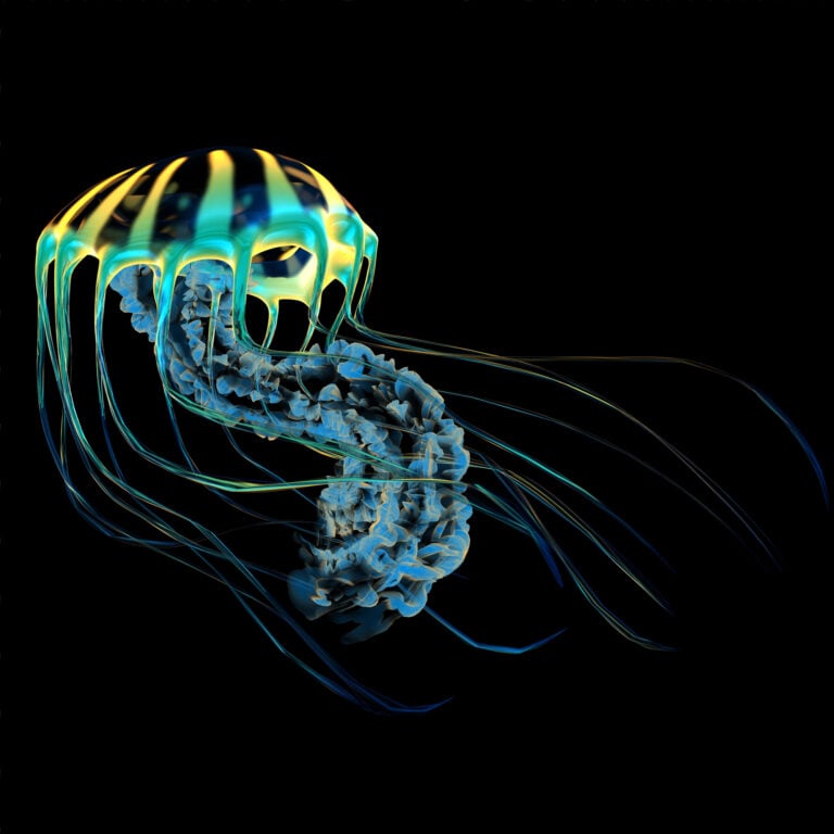 20 Jaw-Dropping Facts About the Deep Ocean