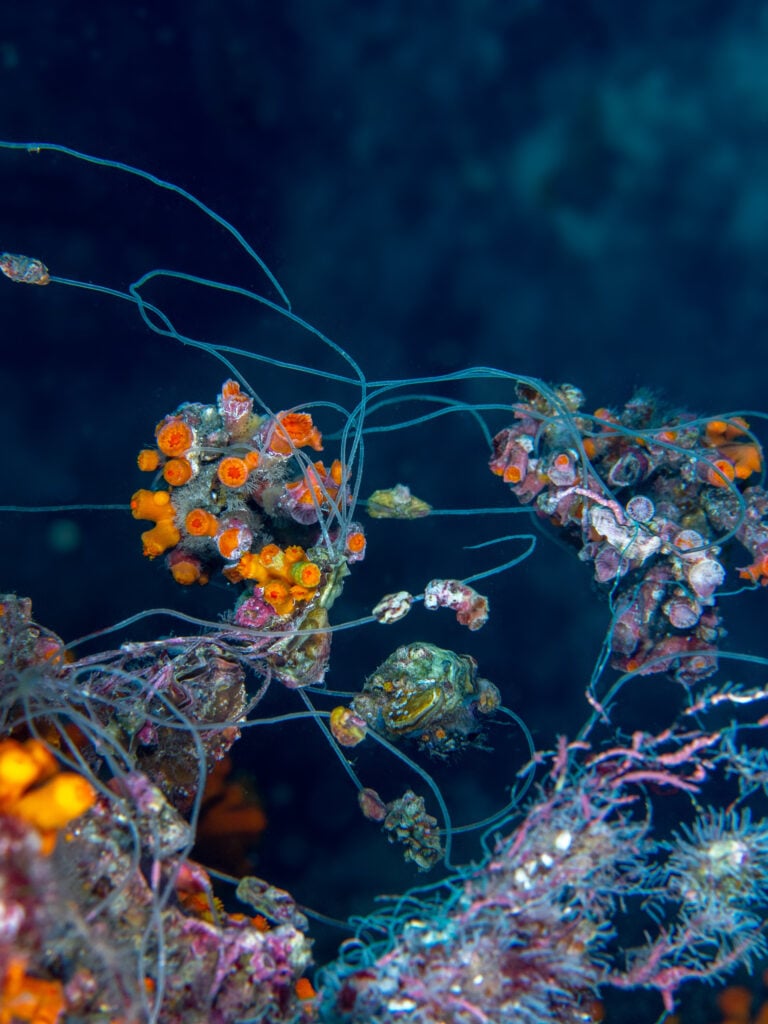 20 Jaw-Dropping Facts About the Deep Ocean