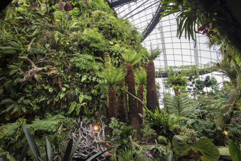 20 Architectural Designs Inspired by Nature