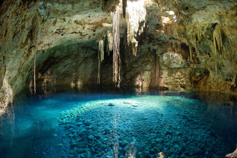 20 Unique Natural Ecosystems You've Never Heard Of