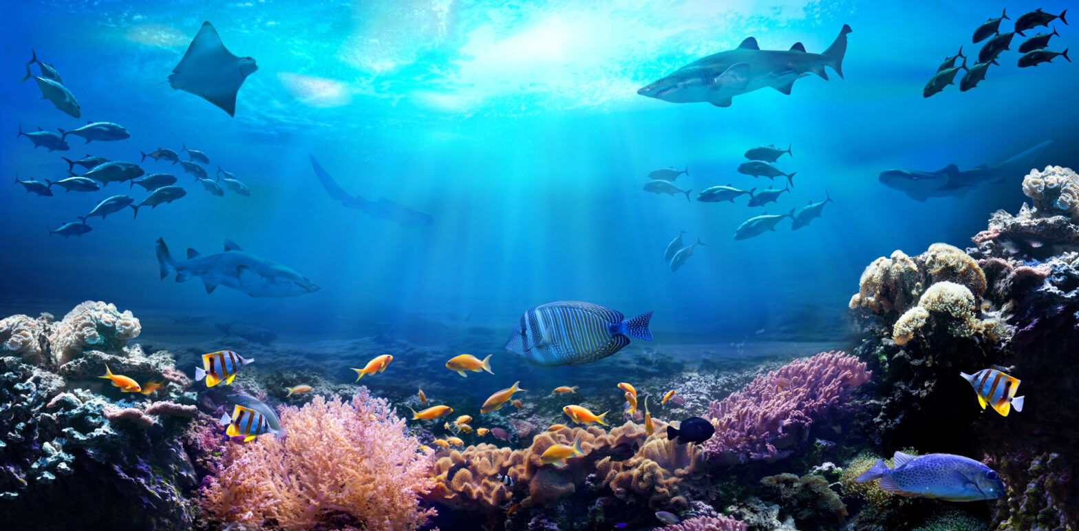Angling’s Ultimate Challenge: 18 Rare Fish That Are Hard to Catch