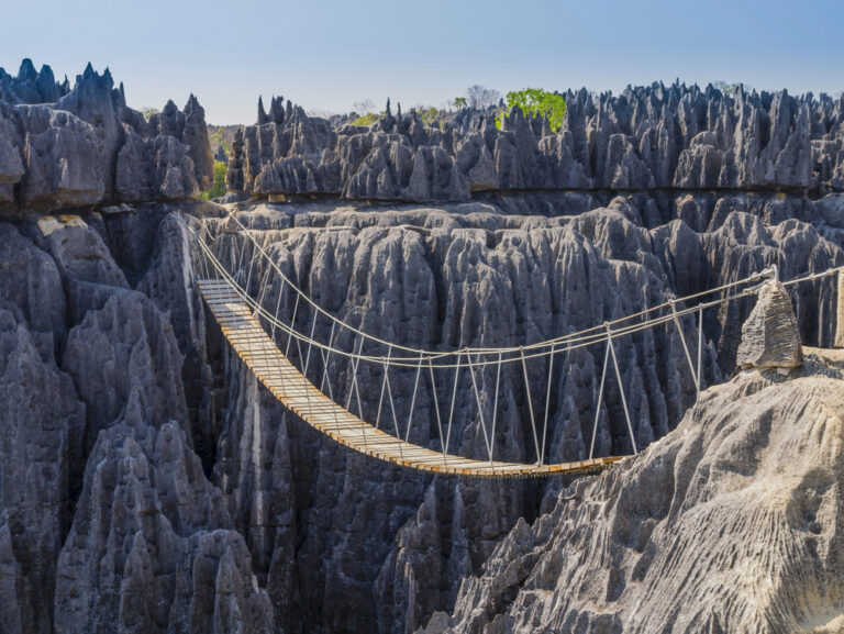 20 Unique Natural Ecosystems You've Never Heard Of