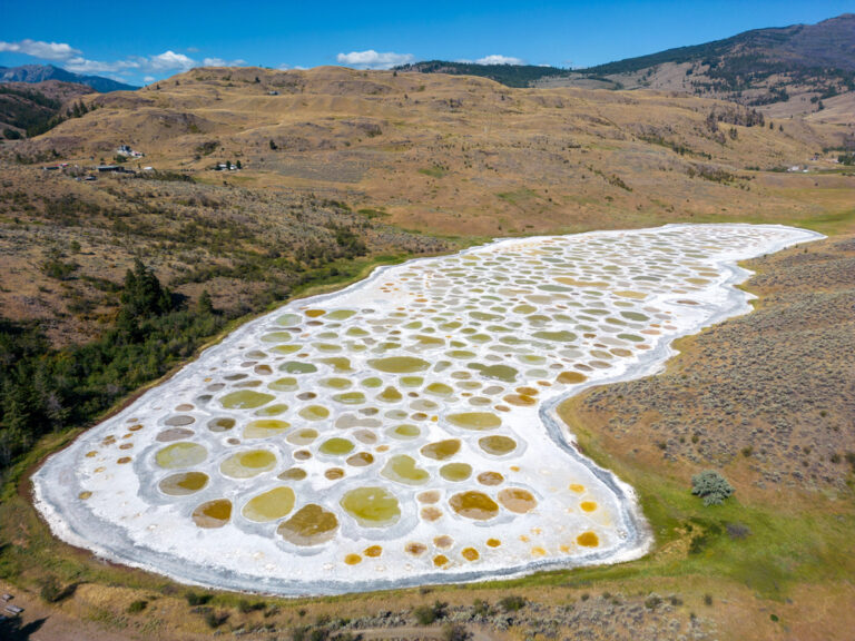 20 Unique Natural Ecosystems You've Never Heard Of