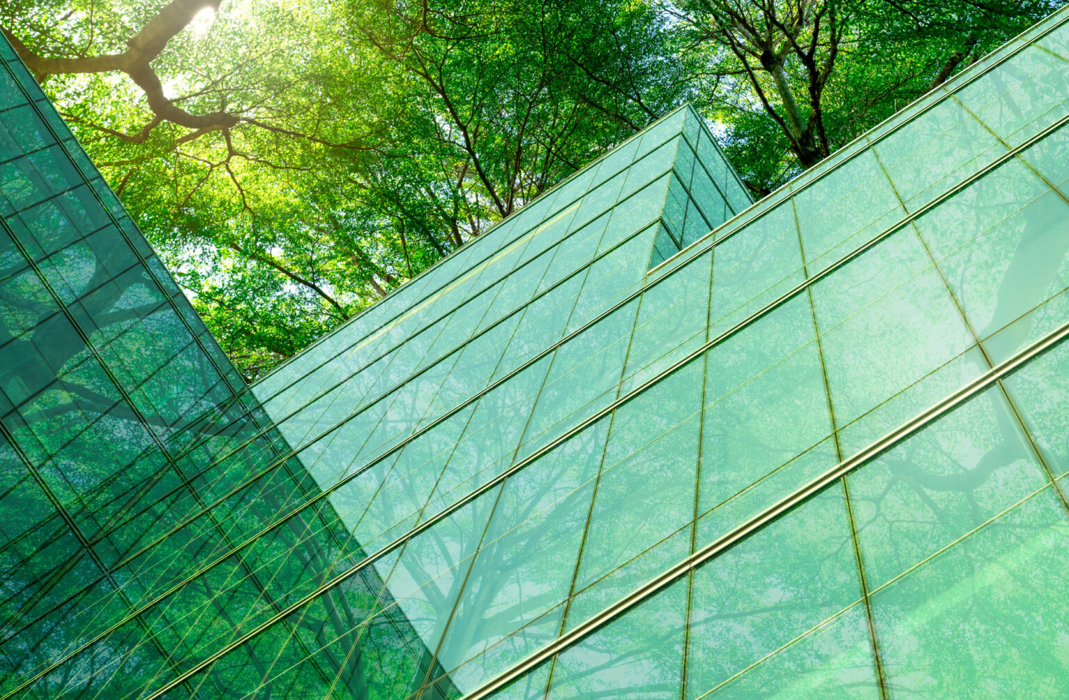 20 Architectural Designs Inspired by Nature