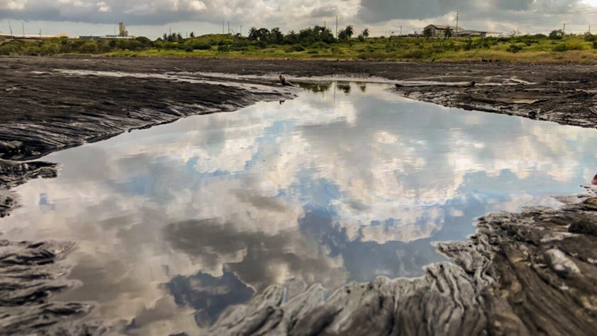 20 Unique Natural Ecosystems You've Never Heard Of