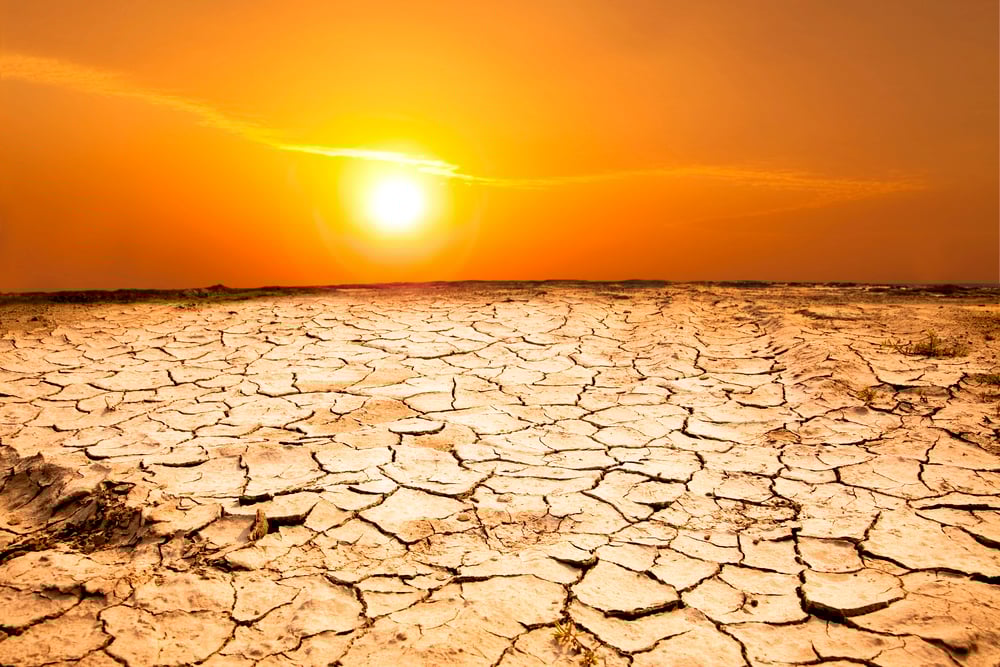 Drought land and hot weather — Stock Photo, Image