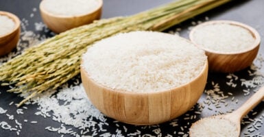 Raw Jasmine Rice Wooden Bowl Spoon Grain Seed — Stock Photo, Image