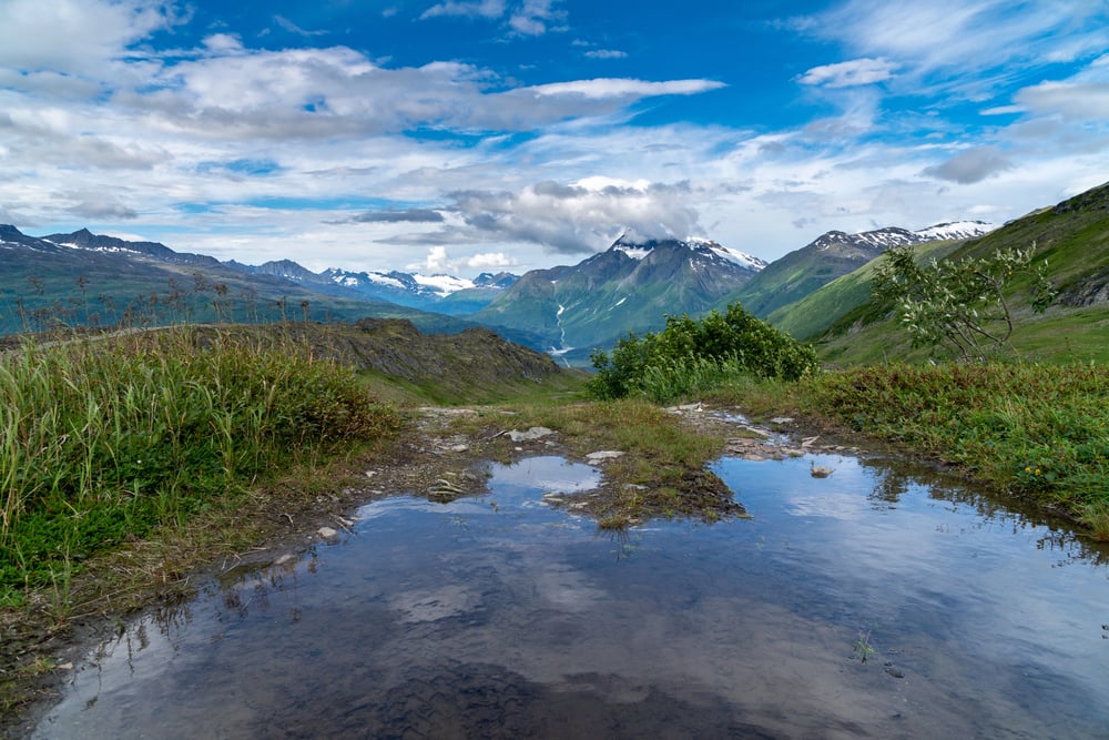 Small Pond Trail Richardson Highway Valdez Alaska Original Trail Gold — Stock Photo, Image