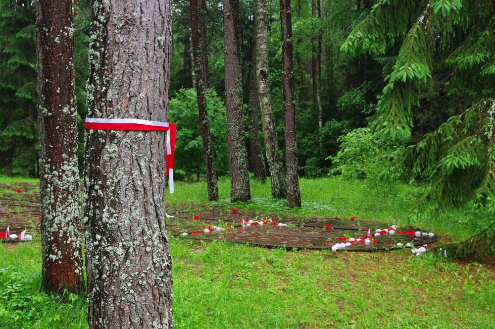 Katyn — Stock Photo, Image
