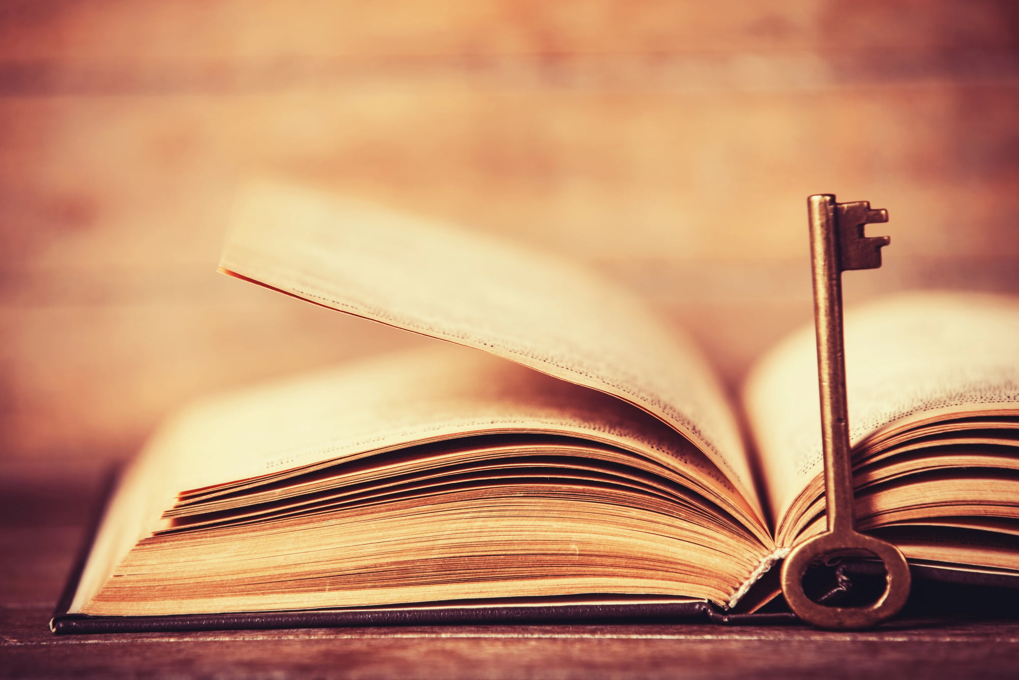 20 Historical Texts So Mystifying No One Has Figured Out What They Mean