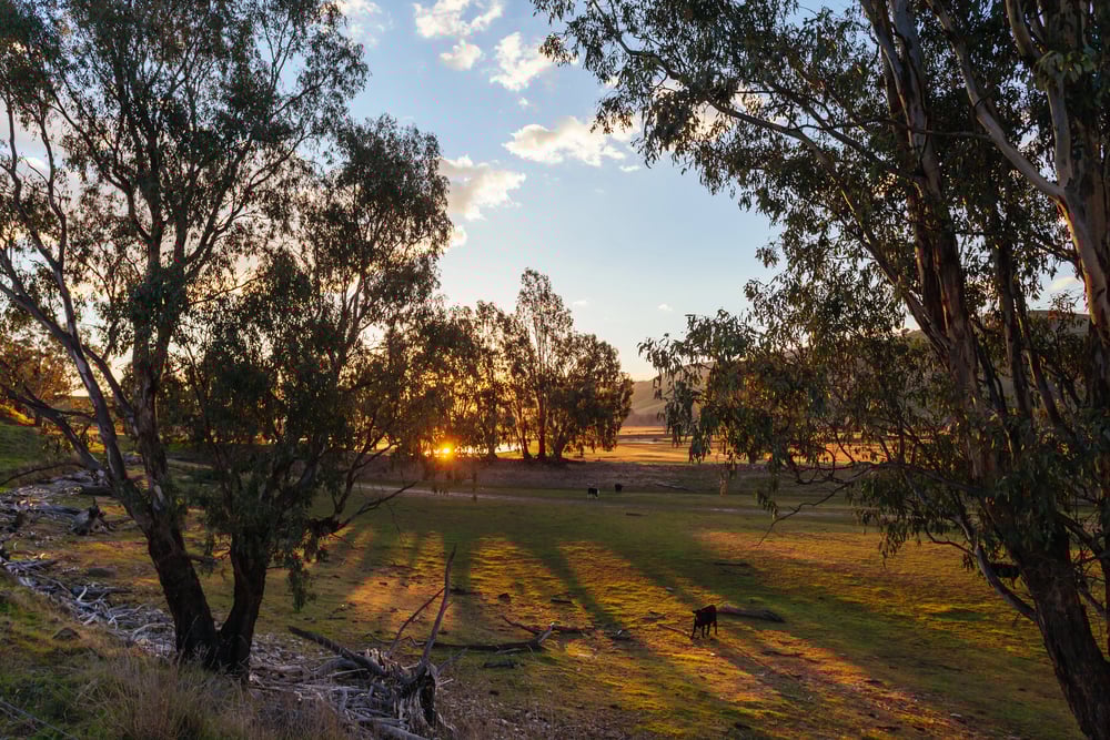 View Mitta Valley Lookout Tallangatta Rail Bridge Lake Hume Victoria — Stock Photo, Image