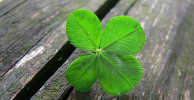 Luck is... (explored) | by kaibara87