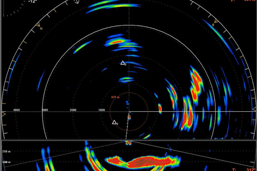 Simrad SX90 Sonar on Blue Whiting | by Simrad