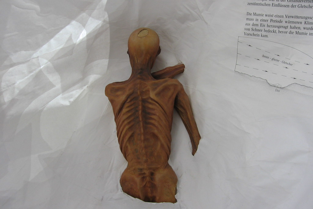 Otzi the Iceman | by Melissa in TN