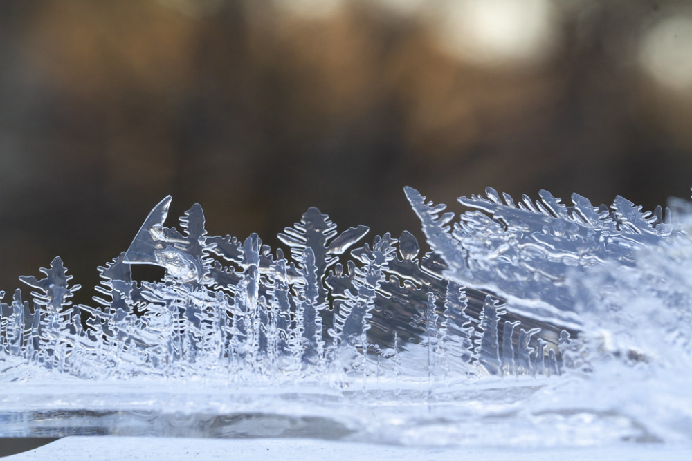 Ice Crystals | by brucetopher