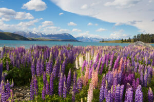 15 Real-Life Places That Inspired Famous Fictional Settings