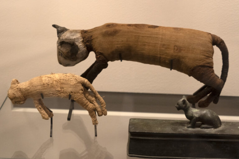 14 Odd Things Found Hidden in Old Buildings