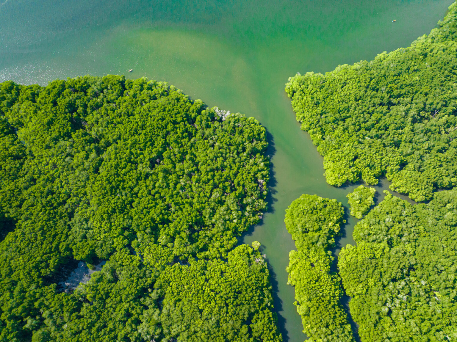 15 Natural Phenomena You Can Only Witness One Day Each Year