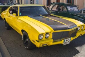 17 Car Models Named After Animals