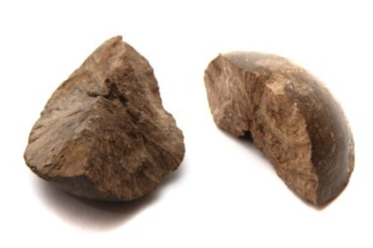 16 Common Rocks and What They Tell Us