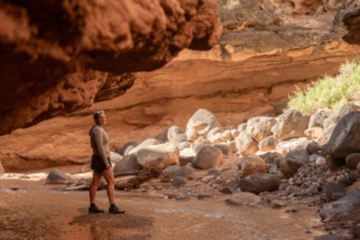 16 Common Rocks and What They Tell Us