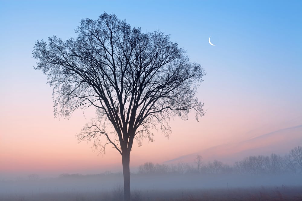 16 Ancient Weather Signs That Always Predicted Storms