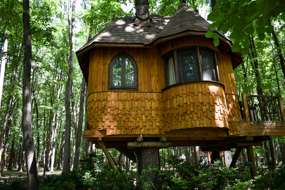 17 Tree House Rules Every Club Had
