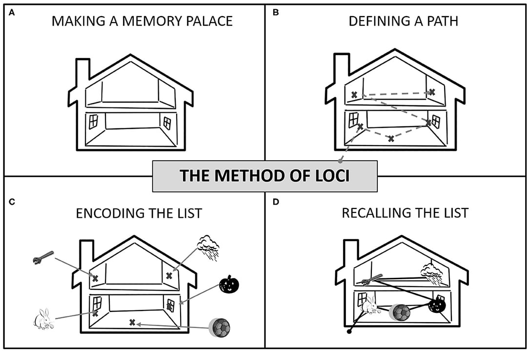 15 Memory Techniques That Actually Work