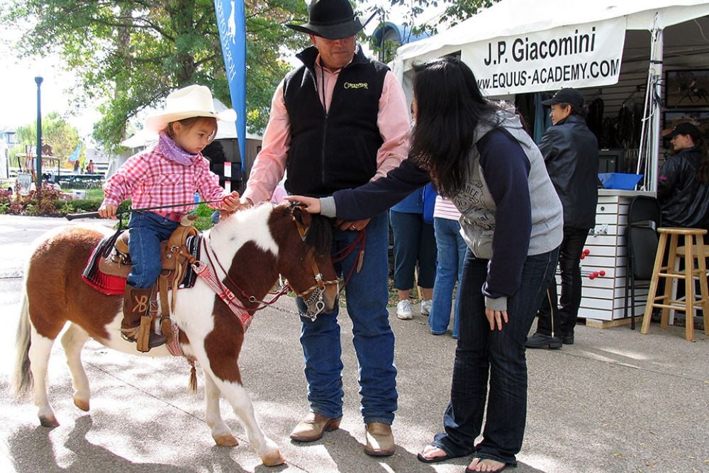 kid-on-pony | A little girl showing off her miniture horse t… | Flickr