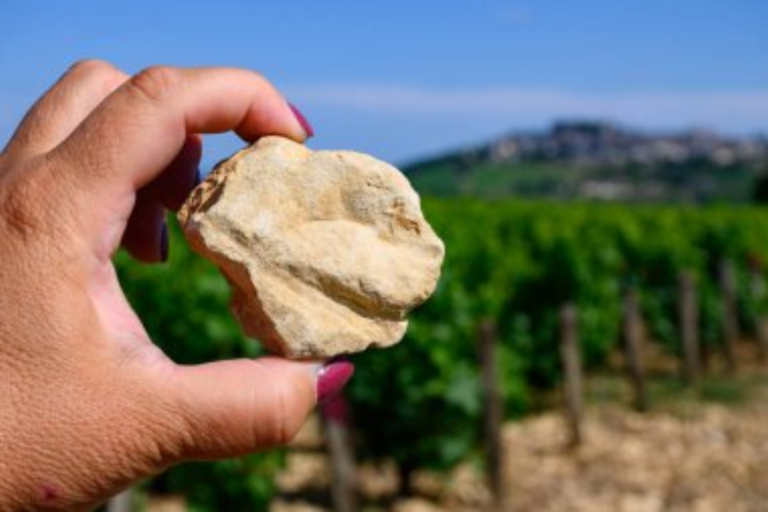 16 Common Rocks and What They Tell Us