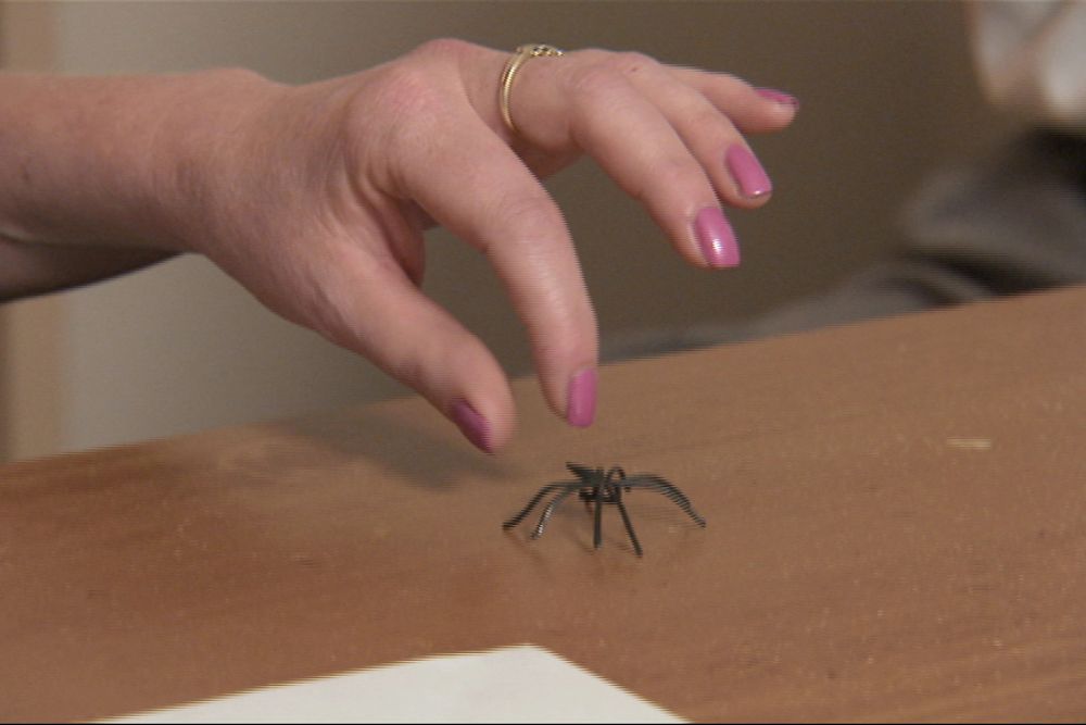 Christine can finally pick up a fake spider | Insight on SBS | Flickr