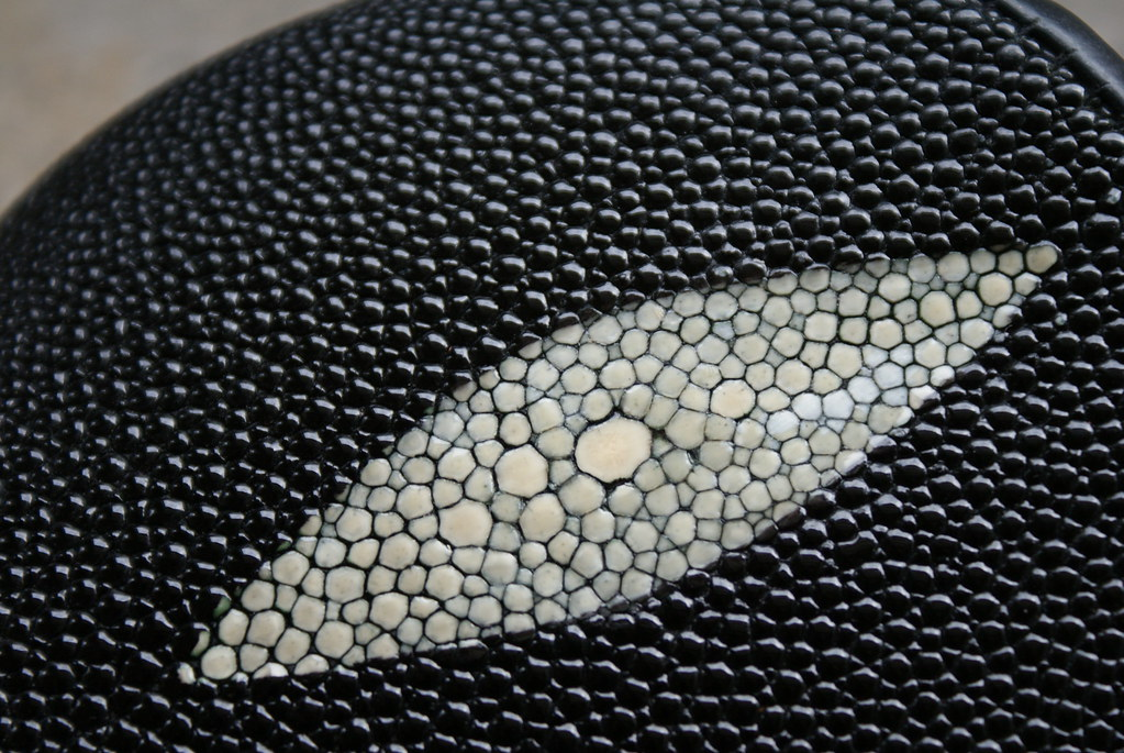 Flickr/Singlespeed2011