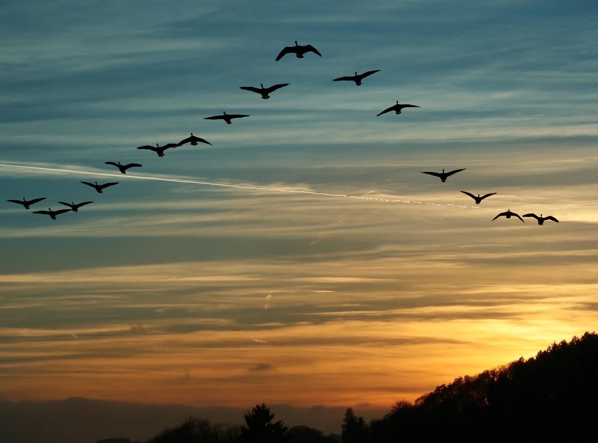 DepositPhotos