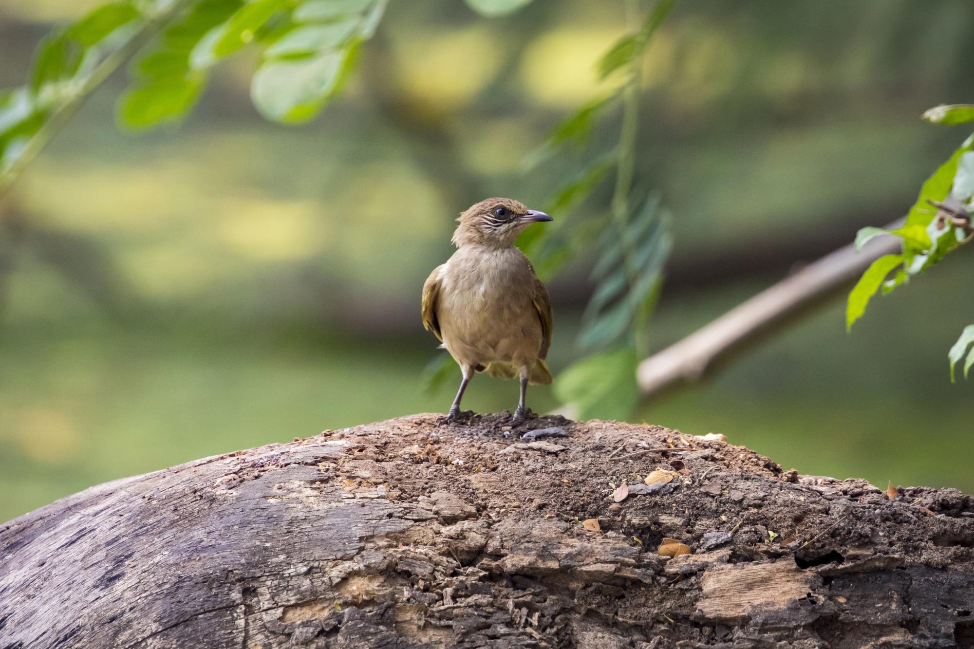 DepositPhotos