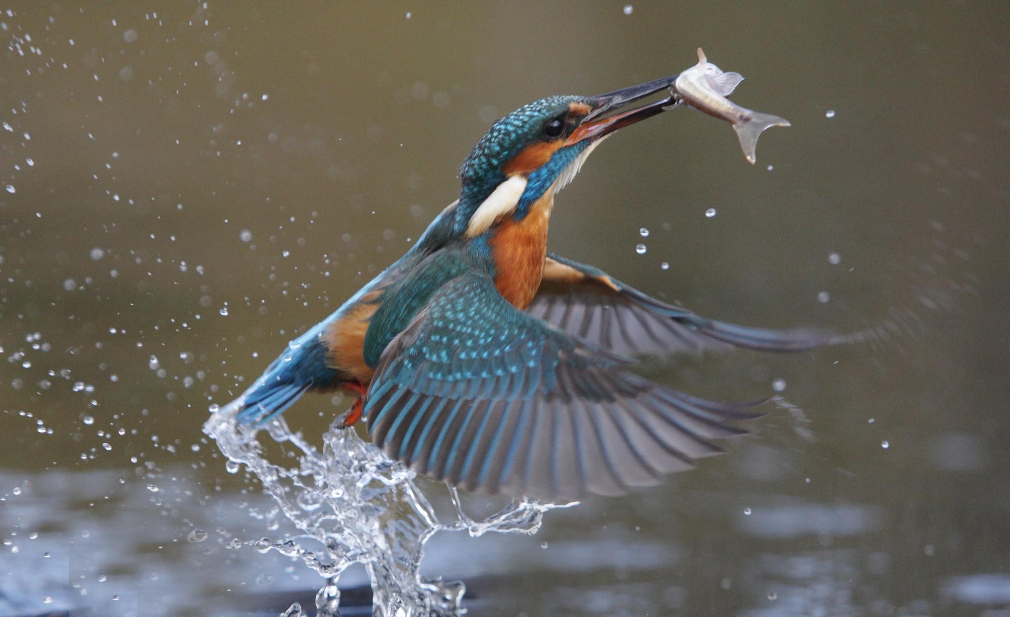 DepositPhotos