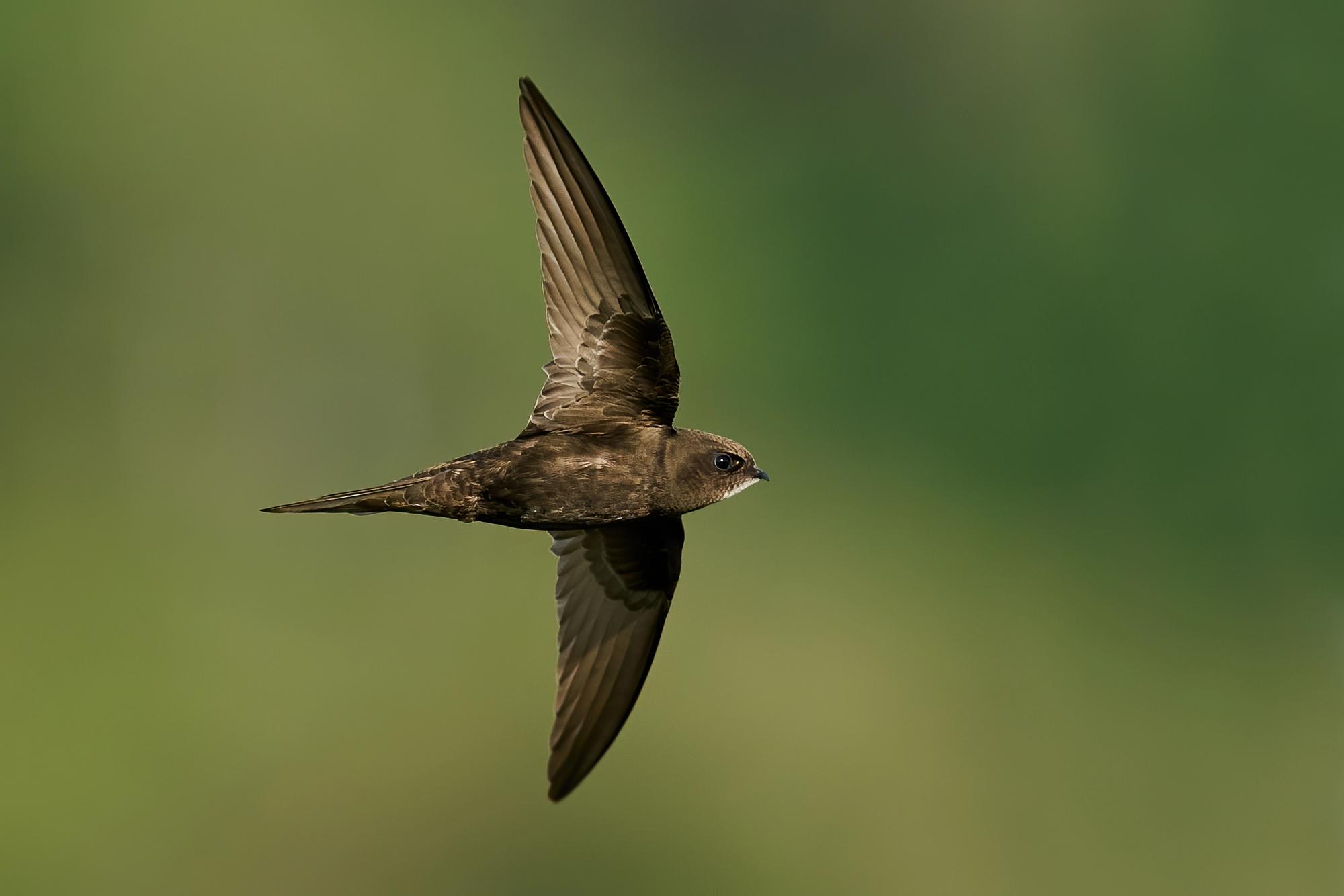 DepositPhotos