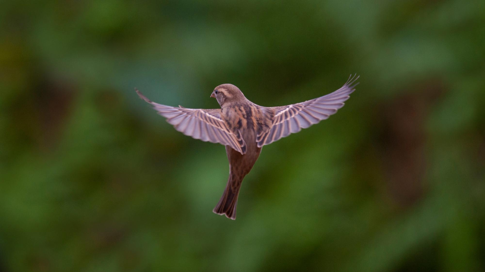 DepositPhotos