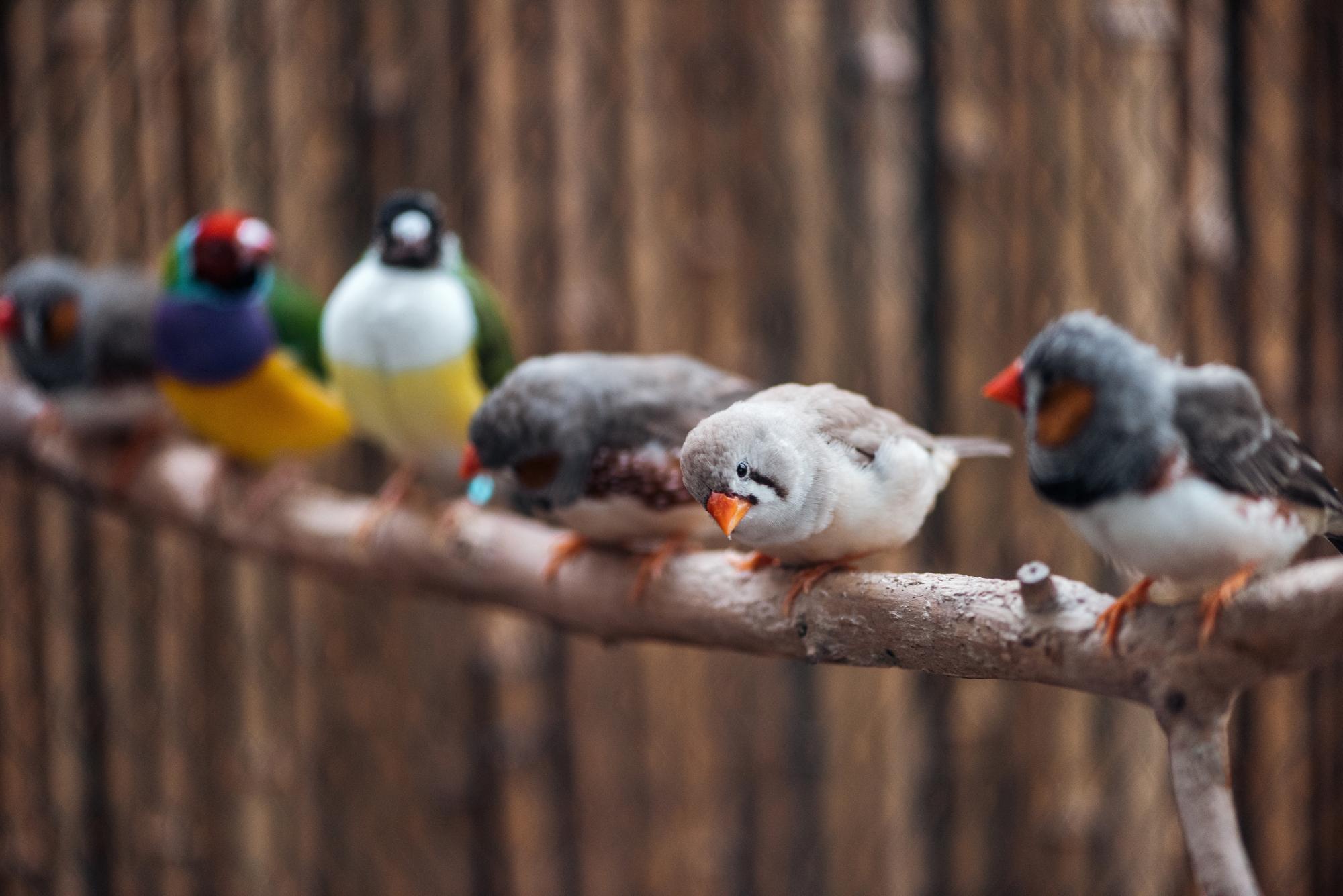 DepositPhotos