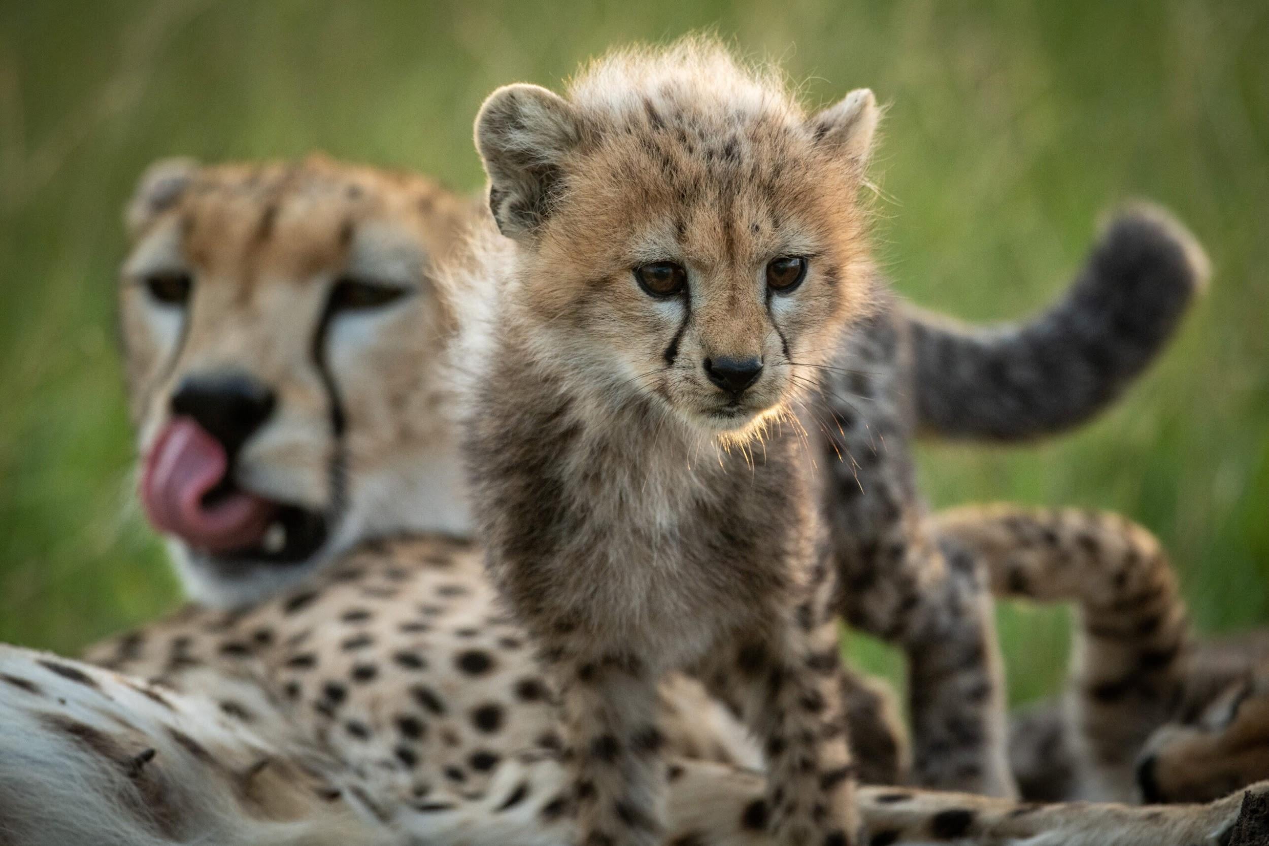 DepositPhotos