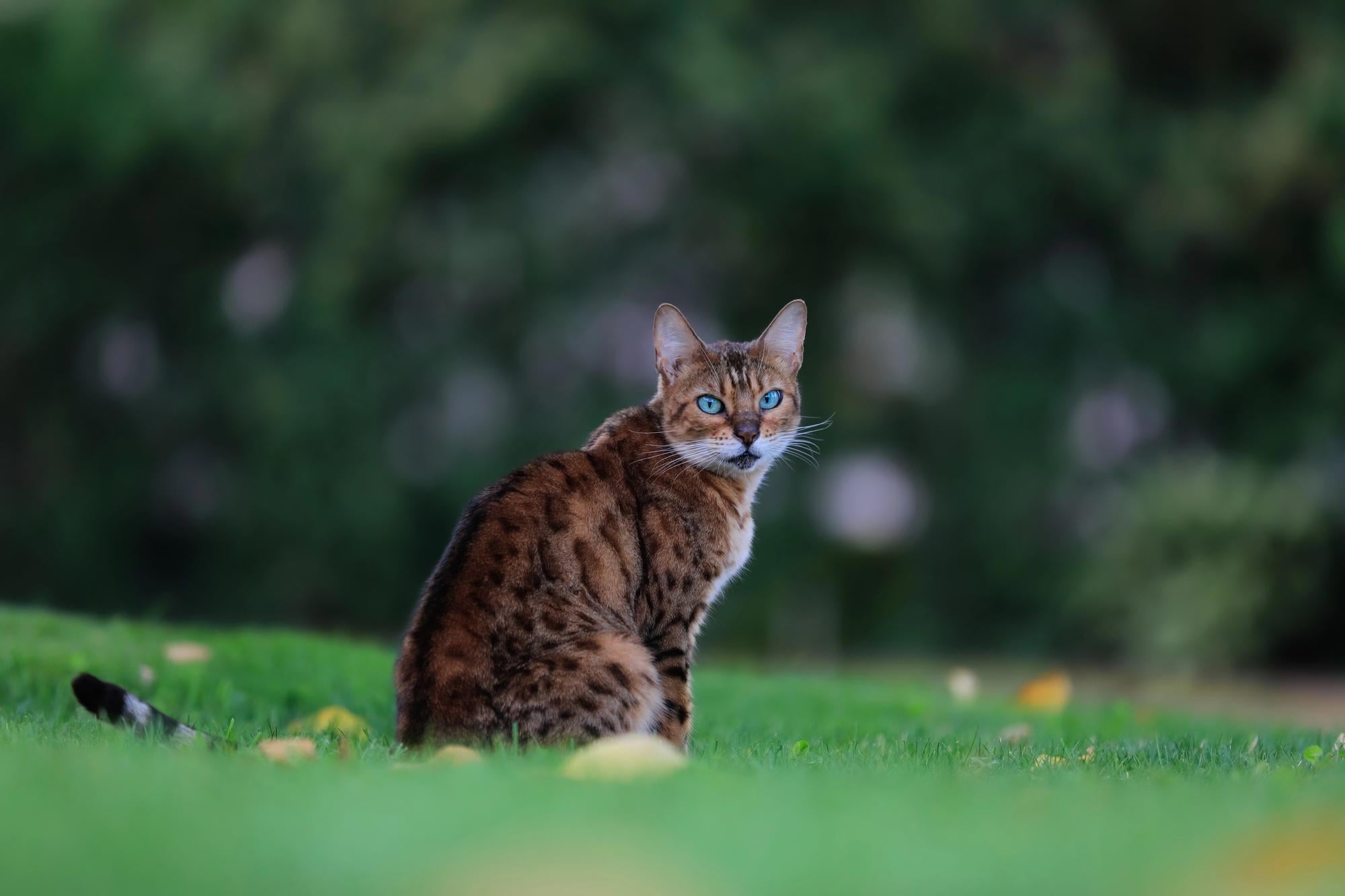 DepositPhotos