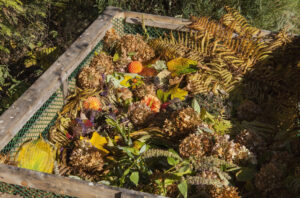 15 Ways the Aztecs Built Floating Gardens