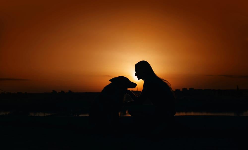 DepositPhotos